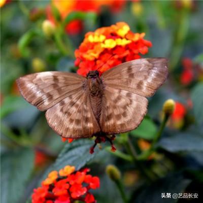 油价上涨让俄罗斯有理由推迟关键预算改革