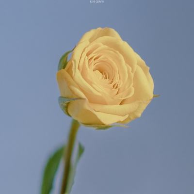 产教融合，数智创新——ABB杯智...